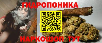 прущие грибы Аша