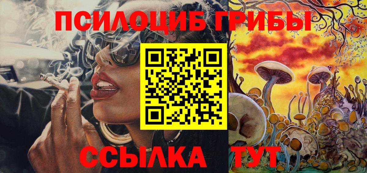 Новошахтинск  Псилоцибиновые грибы мицелий  Вход с VPN  Псилоцибиновые грибы мицелий 