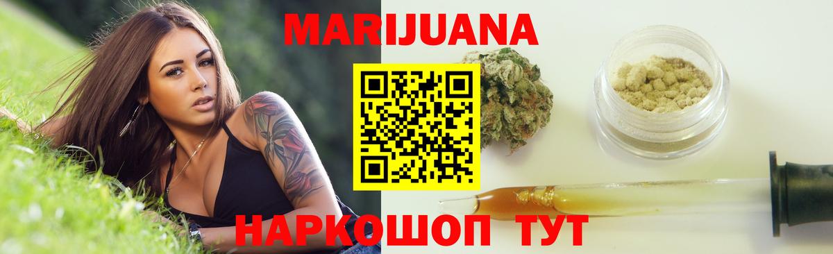 Бошки Шишки планчик Новошахтинск
